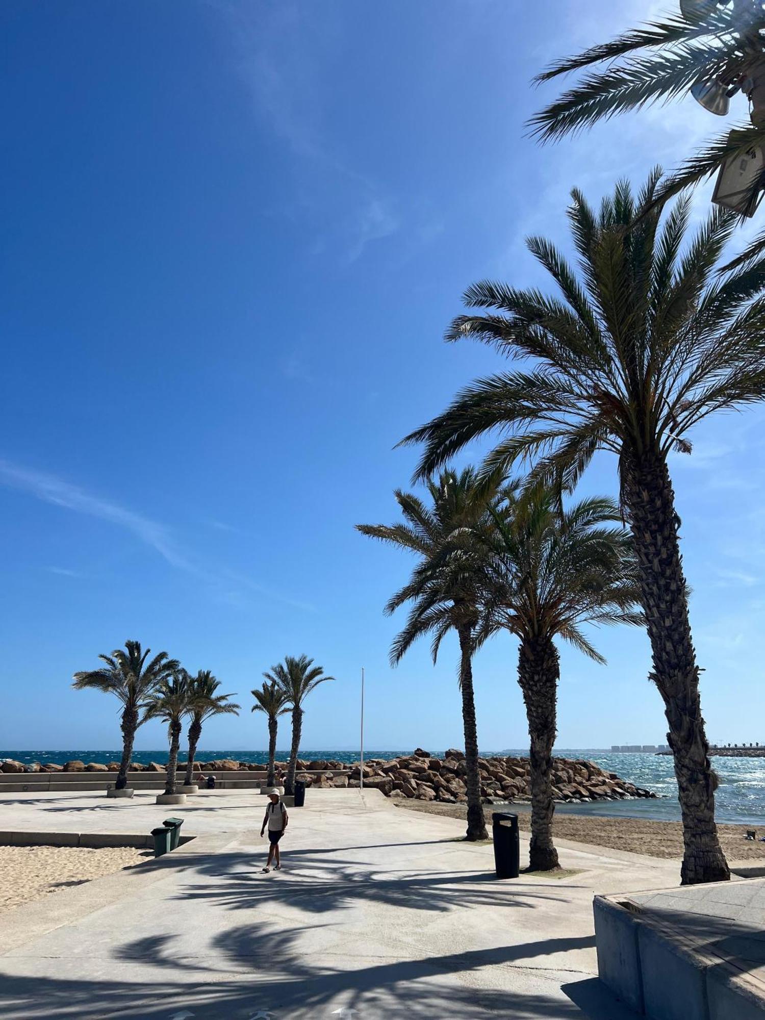 Appartement Torrevieja Alicante Kültér fotó