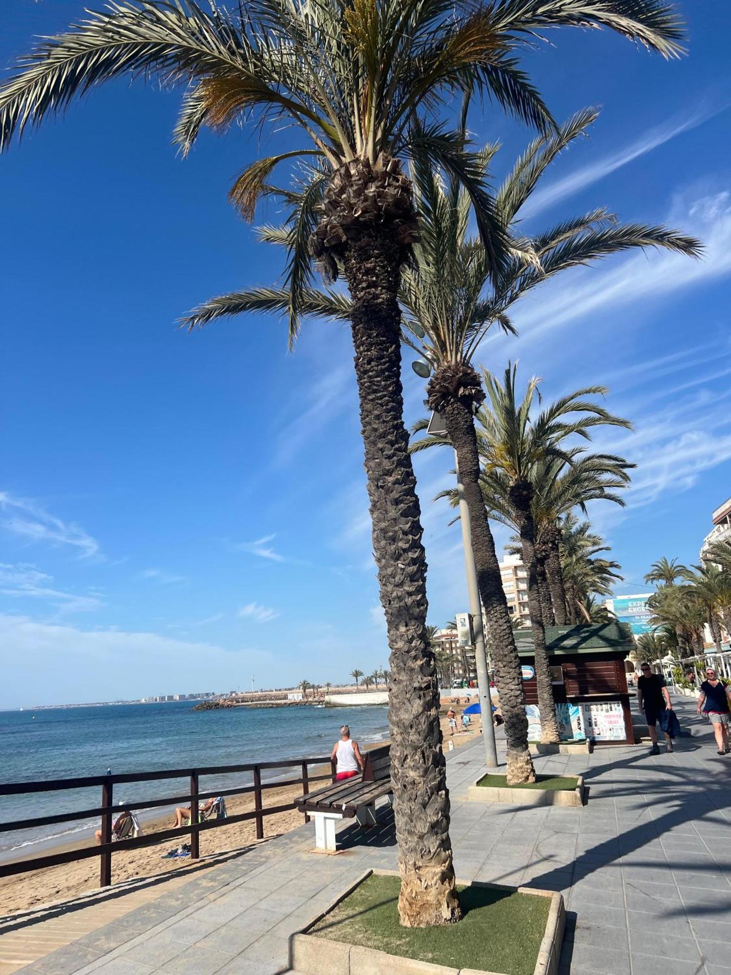Appartement Torrevieja Alicante Kültér fotó